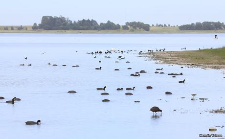 Laguna de Puán