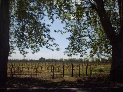 Reseña de un viaje de regreso Reseña de un viaje de regreso