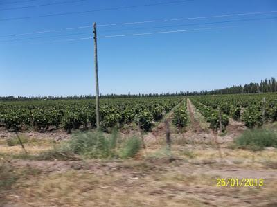 Reseña de un viaje de regreso Reseña de un viaje de regreso