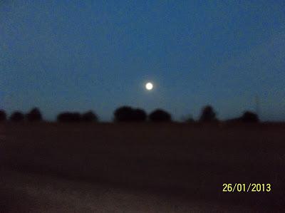 Reseña de un viaje de regreso Reseña de un viaje de regreso