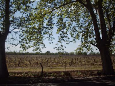 Reseña de un viaje de regreso Reseña de un viaje de regreso