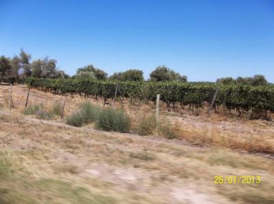 Reseña de un viaje de regreso Reseña de un viaje de regreso