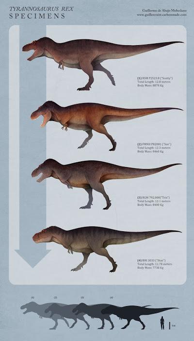 Viajando al pasado con Guillerart Viajando al pasado con Guillerart