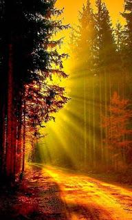 4.470 - HOY, LAS PALOMAS... 4.470 - HOY, LAS PALOMAS...