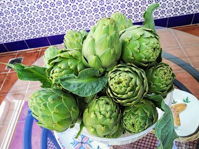 ALCACHOFAS EN AMARILLO