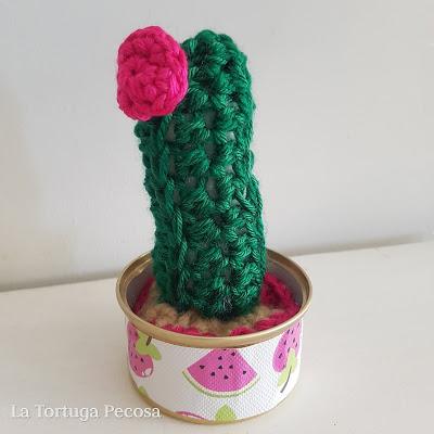 CACTUS TWENTY-SEVEN CACTUS TWENTY-SEVEN