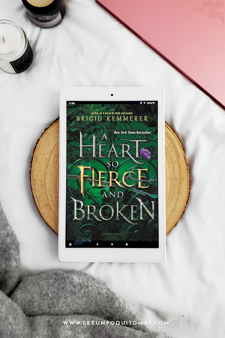 Reseña: Un corazón valiente y roto (#2) | Brigid Kemmerer