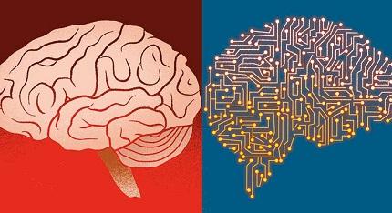 Cinco aspectos es que nuestros cerebros aún superan a la inteligencia artificial