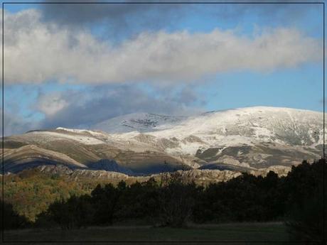 Tolerando la intolerancia