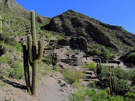 Valles Calchaquíes: Cafayate y Amaicha del Valle