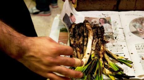 Degusta los mejores calçots de Madrid en Hoyo de Manzanares