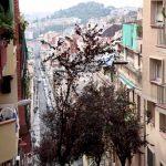 PANORÁMICAS DESDE NUESTRO PARTICULAR MIRADOR DE BARCELONA Panoràmiques