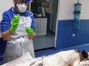 Hospital Veterinario Guadiamar recoge muestras para investigar exposición Covid-19 mascotas