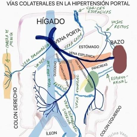 Circulación portal tac