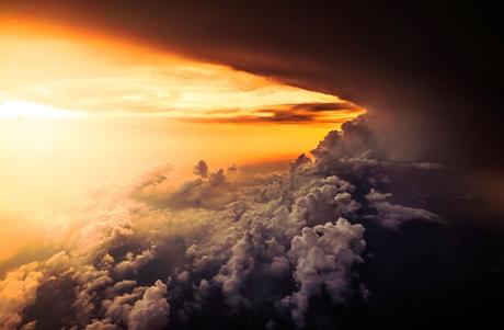 CONFIANZA EN LA VIDA