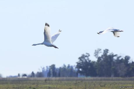 Por campos de Monte (julio de 2020)