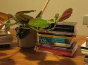 paseo literatura uruguaya