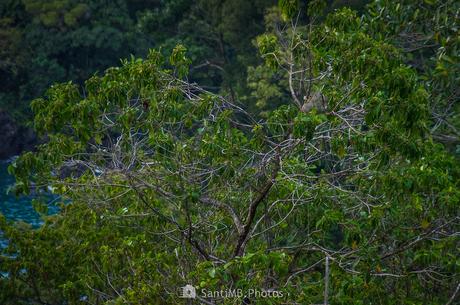 Contemplando el atardecer