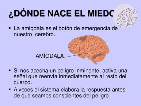 La salud mental, la cuarta ola