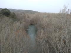 El río Sorbe desbordado