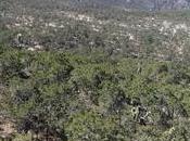 proyecto para proteger Sierra Miguelito tiene importantes errores