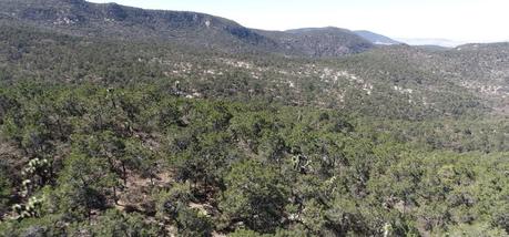 El proyecto para proteger la Sierra de San Miguelito tiene importantes errores
