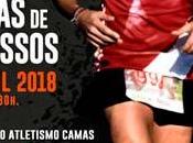 VIII Carrera colinas tartessos