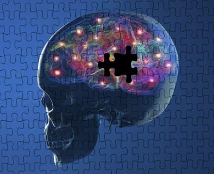 8 Ejercicios para el Cerebro y la Memoria Gratis cerebro rompecabezas