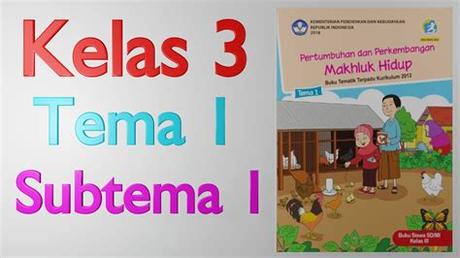 Rpp Daring Kelas 3 Tema 5 Contoh Rpp Daring Kelas 3 Sd Tema 7 Revisi Id Untuk Itu Disini Kami Akan Berbagi Contoh Rpp 1 Lembar Daring Kelas 3 Tahun 2020 2021 Paperblog