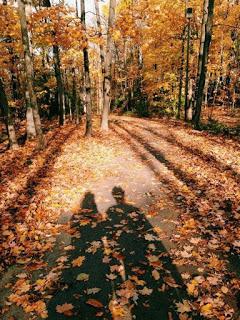 4.480 - YA SE MARCHITAN... 4.480 - YA SE MARCHITAN...