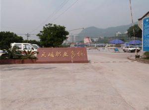 林依晨现身香奈儿大秀 蕾丝裤装别致复古-亚博APP下载