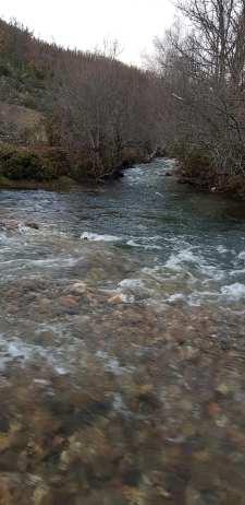 Donde el Berbellido abraza al Jarama