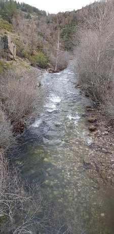 Donde el Berbellido abraza al Jarama
