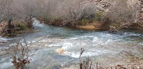 Donde el Berbellido abraza al Jarama