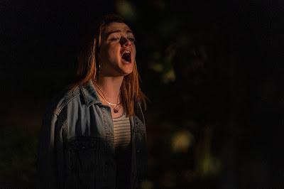 The Owners (Los propietarios); Las apariencias engañan