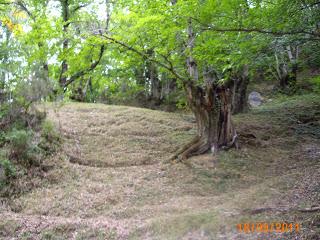 LA VERDAD, evolución consciente LA VERDAD, evolución consciente
