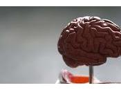 ¿Cómo podría abordar epidemia soledad?