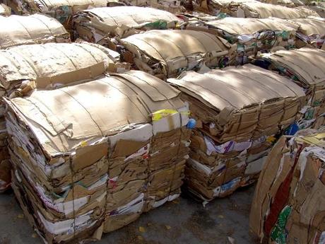 Cuida nuestros bosques reciclando papel y cartón