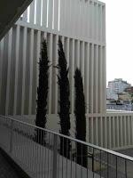 Museo Helga de Alvear