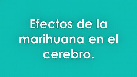 Efectos de la marihuana en el cerebro