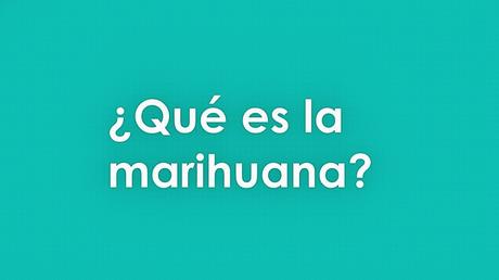 ¿Qué es la marihuana?