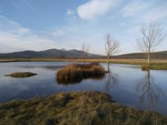 Se acerca la primavera …