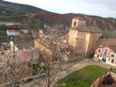 Se acerca la primavera …