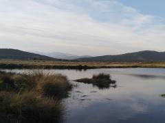 Se acerca la primavera …