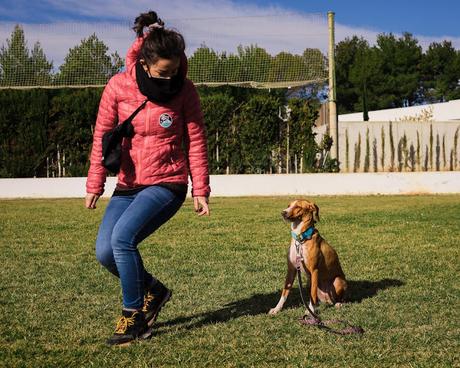 BLOGSSIPGIRL TE PRESENTA: BEC ADIESTRAMIENTO CANINO, TU MASCOTA ES TU MEJOR COMPAÑERO