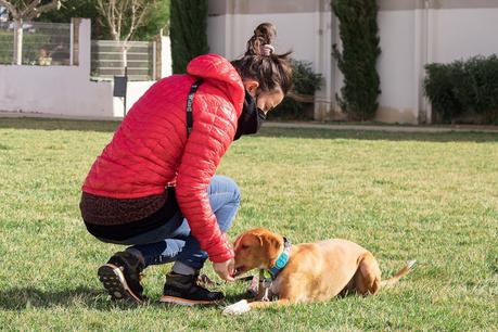 BLOGSSIPGIRL TE PRESENTA: BEC ADIESTRAMIENTO CANINO, TU MASCOTA ES TU MEJOR COMPAÑERO