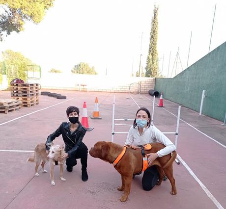 BLOGSSIPGIRL TE PRESENTA: BEC ADIESTRAMIENTO CANINO, TU MASCOTA ES TU MEJOR COMPAÑERO