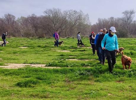 BLOGSSIPGIRL TE PRESENTA: BEC ADIESTRAMIENTO CANINO, TU MASCOTA ES TU MEJOR COMPAÑERO