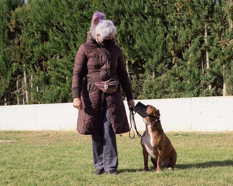 BLOGSSIPGIRL TE PRESENTA: BEC ADIESTRAMIENTO CANINO, TU MASCOTA ES TU MEJOR COMPAÑERO