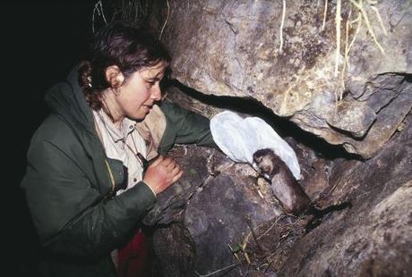 Día de la Mujer: Cinco peruanas que hacen ciencia e inspiran con sus historias
